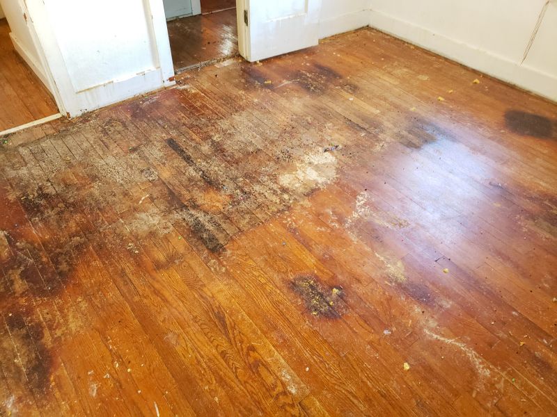 Wood Floor Repair Cost — Cost of Wood Floor Repair