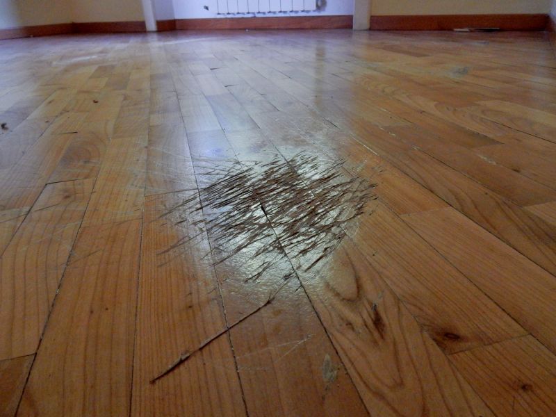 Damaged Wood Floor